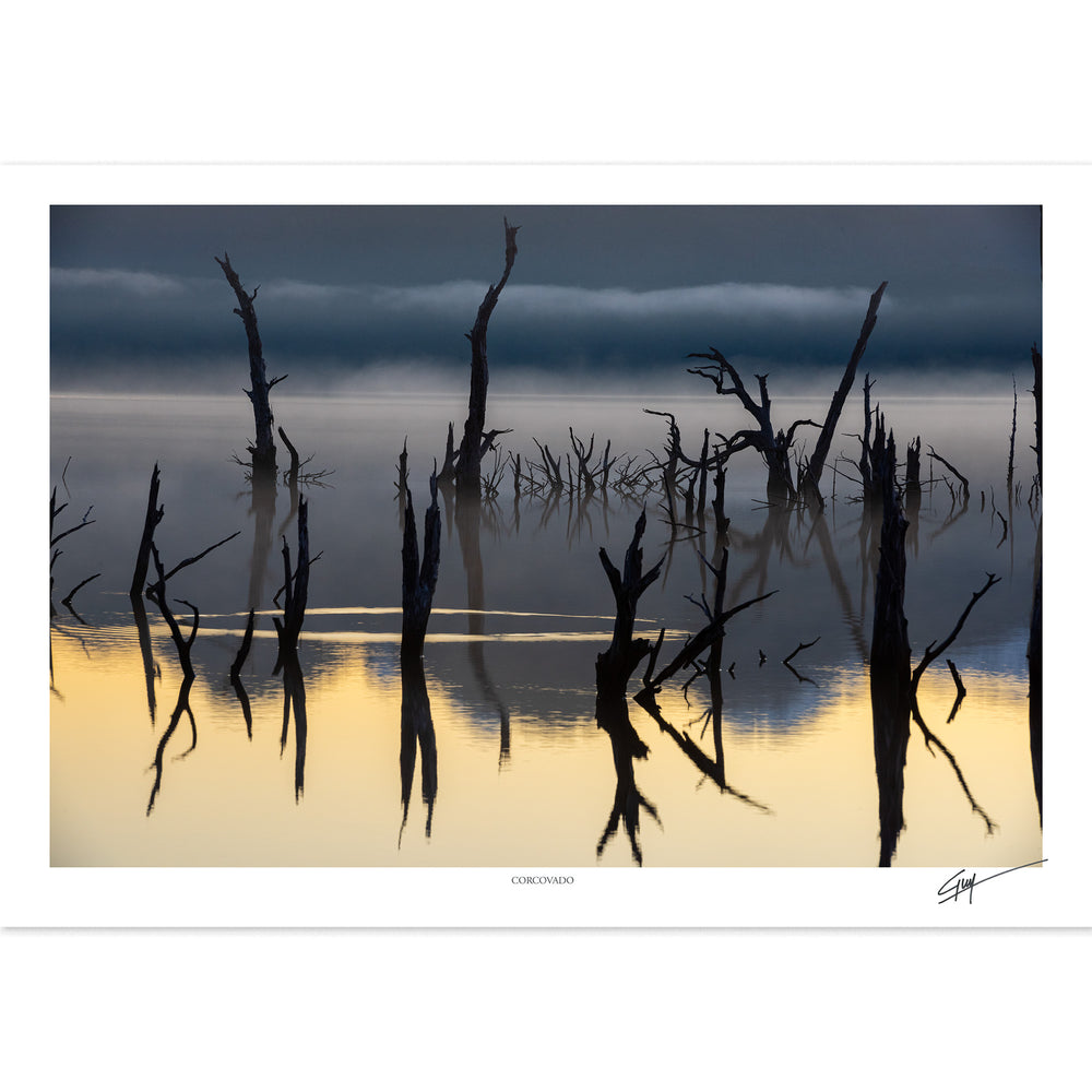 Corcovado | Serie Bosques Patagónicos