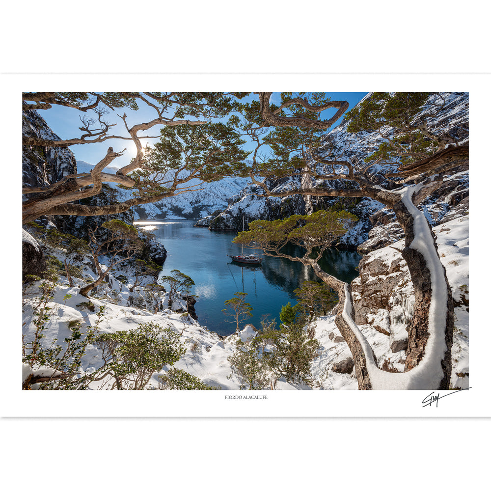 Fiordo Alacalufe | Serie Bosques Patagónicos
