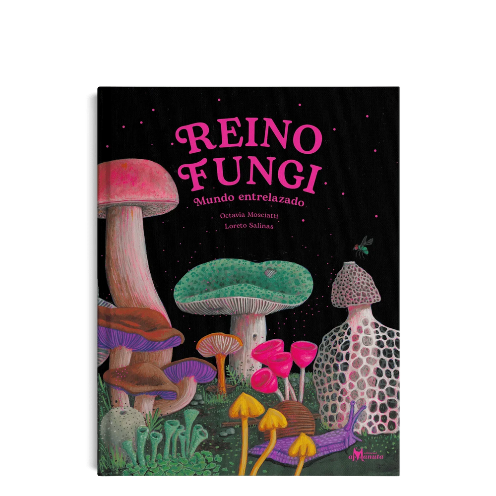 Reino Fungi