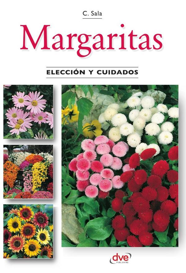 Margaritas