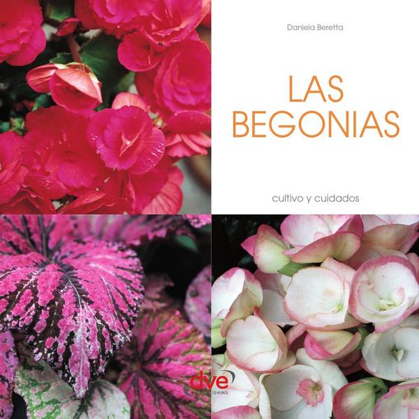 Las Begonias