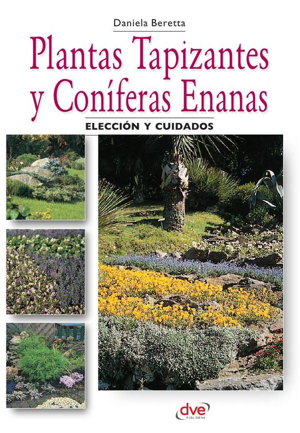 Plantas tapizantes y coníferas enanas