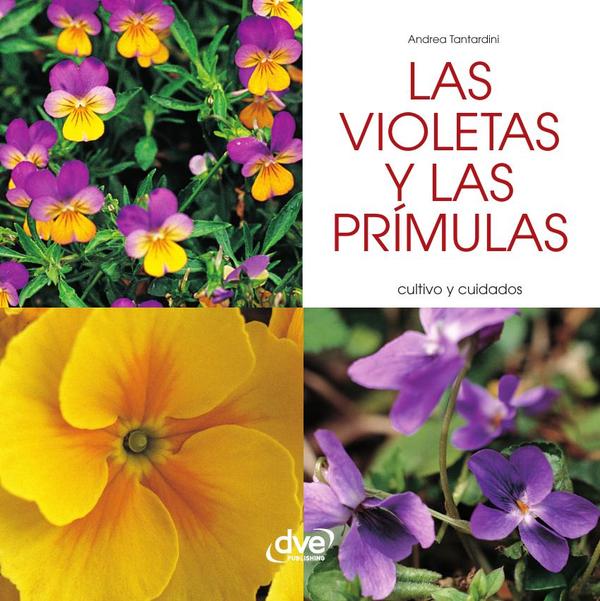 Las violetas y las prímulas