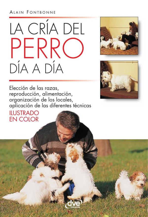La cría del perro día a día