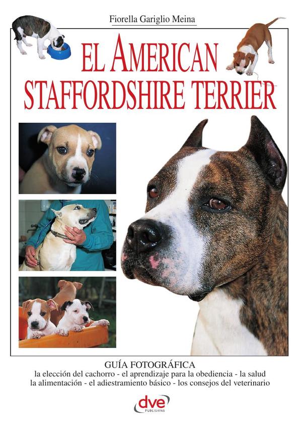 El american staffordshire terrier