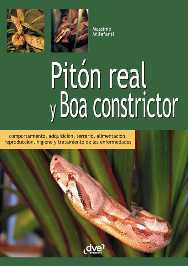 Pitón real y boa constrictor