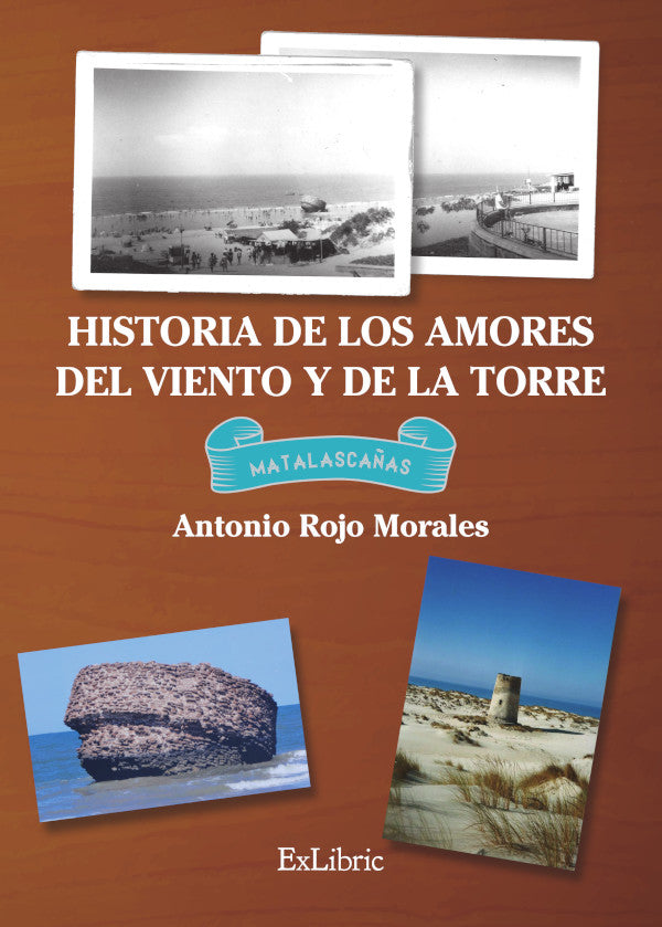 Historia de los amores del viento y de la torre