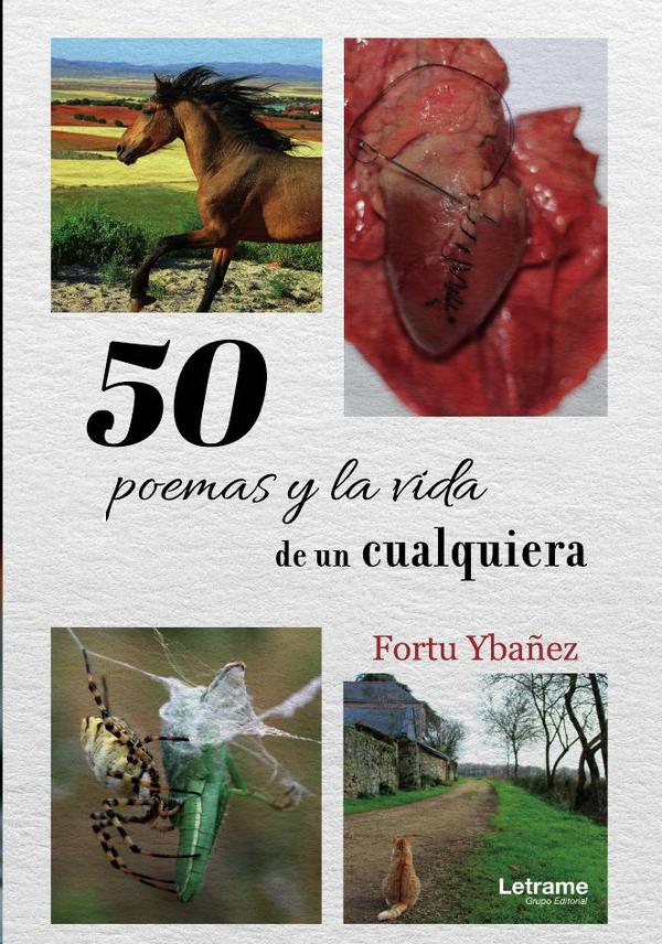 50 Poemas y la vida de un cualquiera