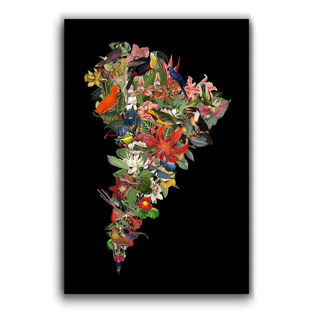Flor de Sudamérica Negro - Lámina