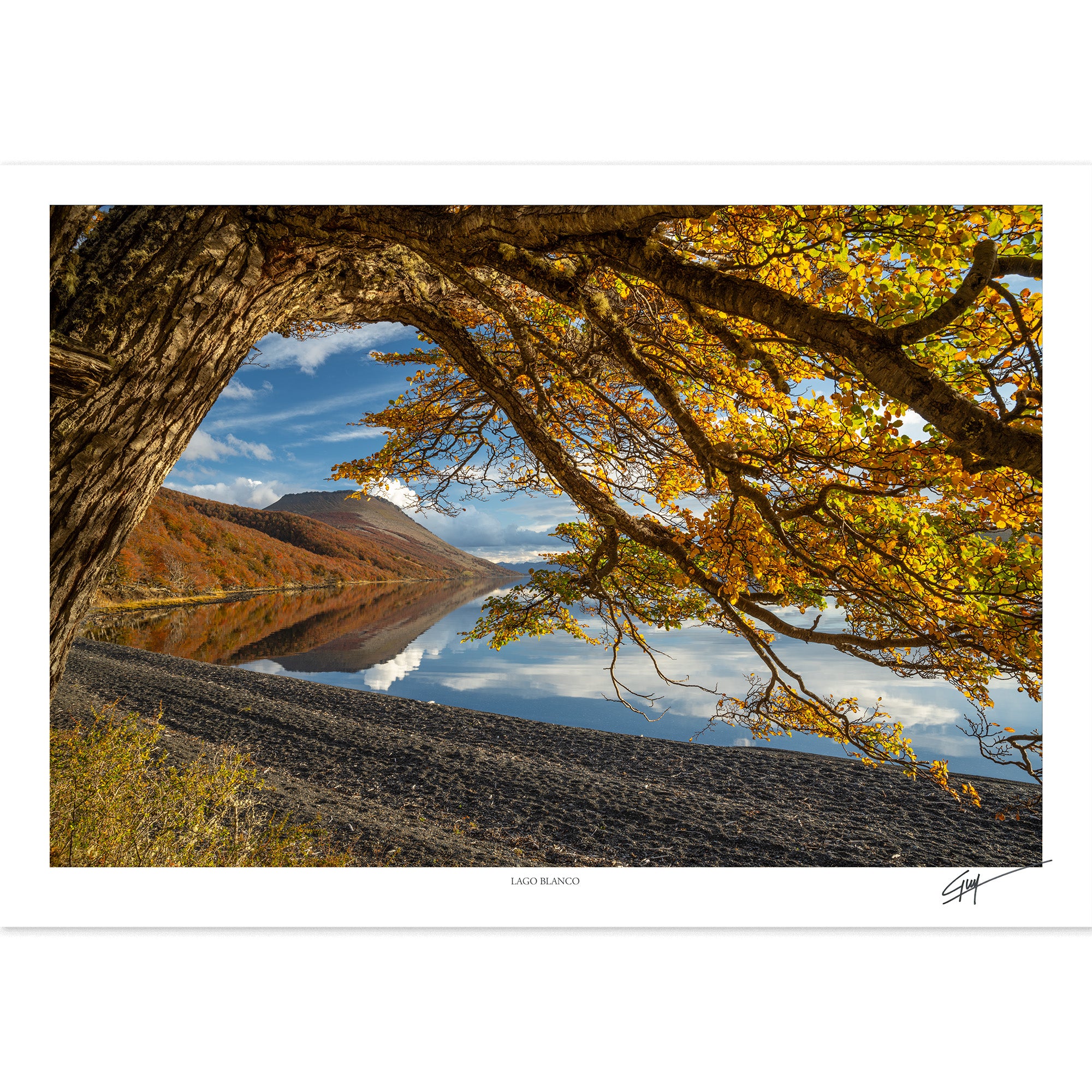 Lago Blanco | Serie Bosques Patagónicos