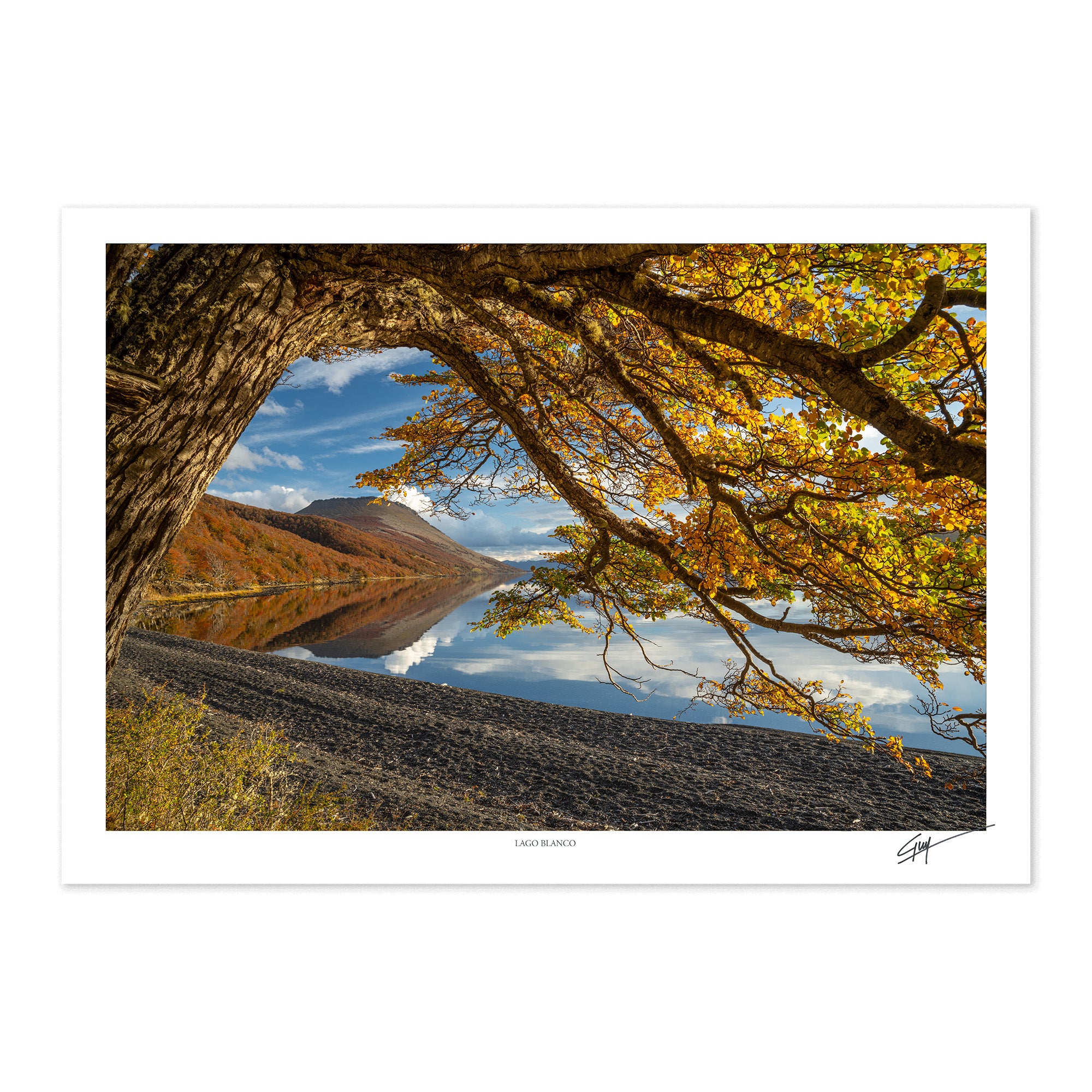 Lago Blanco | Serie Bosques Patagónicos