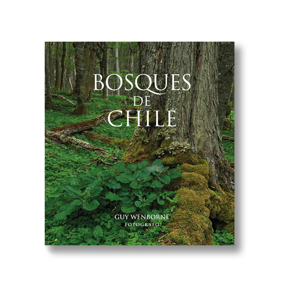 bosques, bosques de chile, guy wenborne, chile, libro fotografía