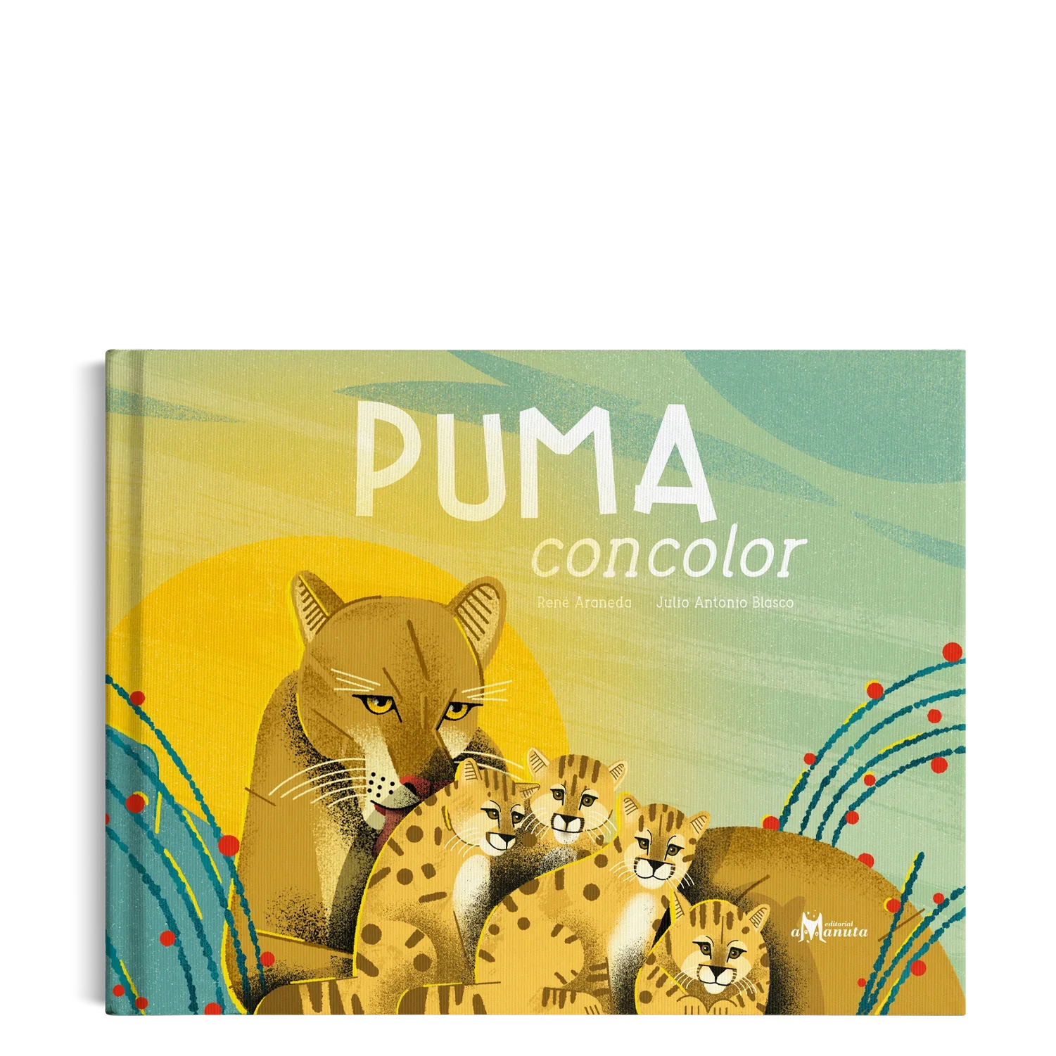 Puma Concolor